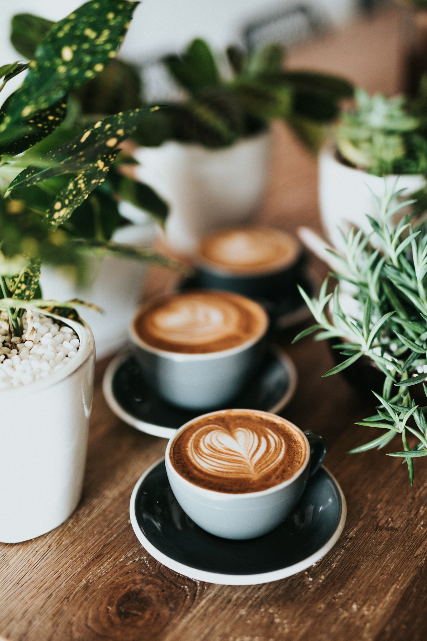 El impacto de las cafeterías locales en la comunidad